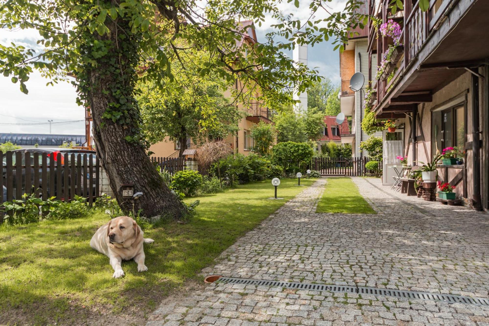 Apartamento Dom Pod Górkami Szczawnica Exterior foto